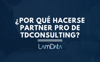 ¿Por qué hacerse Business Partnerpro TDconsulting?